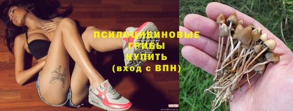 дурь Алзамай