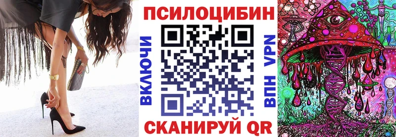 Галлюциногенные грибы Psilocybine cubensis  закладка  Красногорск 